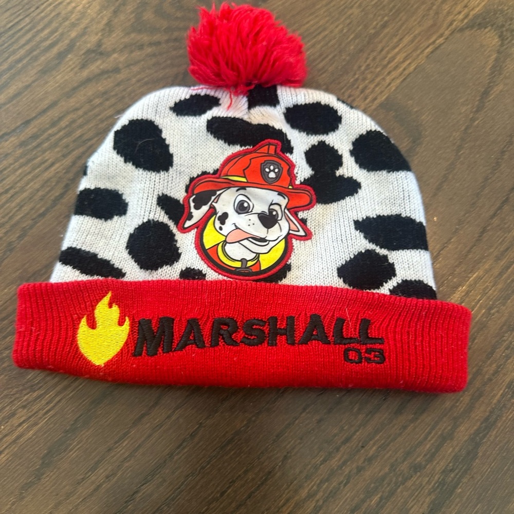 Toddler Paw Patrol Winter Hat